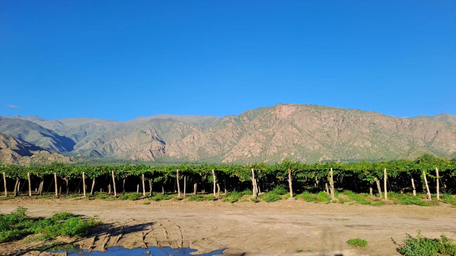 Apartment Alpine View Cafayate